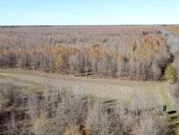 451 Acres in Madison Parish in Tallulah LA images 4