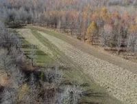 451 Acres in Madison Parish in Tallulah LA images 5