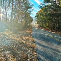 Franklin County Alabama 34.1 Acres Tract
