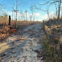 Franklin County Alabama 34.1 Acres Tract images 2