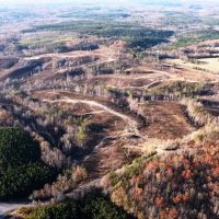 Franklin County Alabama 34.1 Acres Tract images 3