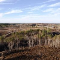 Franklin County Alabama 34.1 Acres Tract images 5