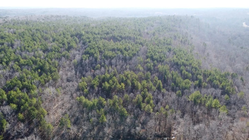 70ac - of Timberland For Sale in Ripley County Missouri featured image