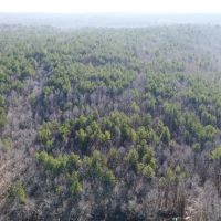 70ac - of Timberland For Sale in Ripley County Missouri