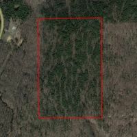 70ac - of Timberland For Sale in Ripley County Missouri images 2