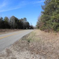 70ac - of Timberland For Sale in Ripley County Missouri images 3
