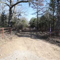70ac - of Timberland For Sale in Ripley County Missouri images 4