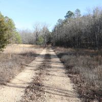 70ac - of Timberland For Sale in Ripley County Missouri images 5