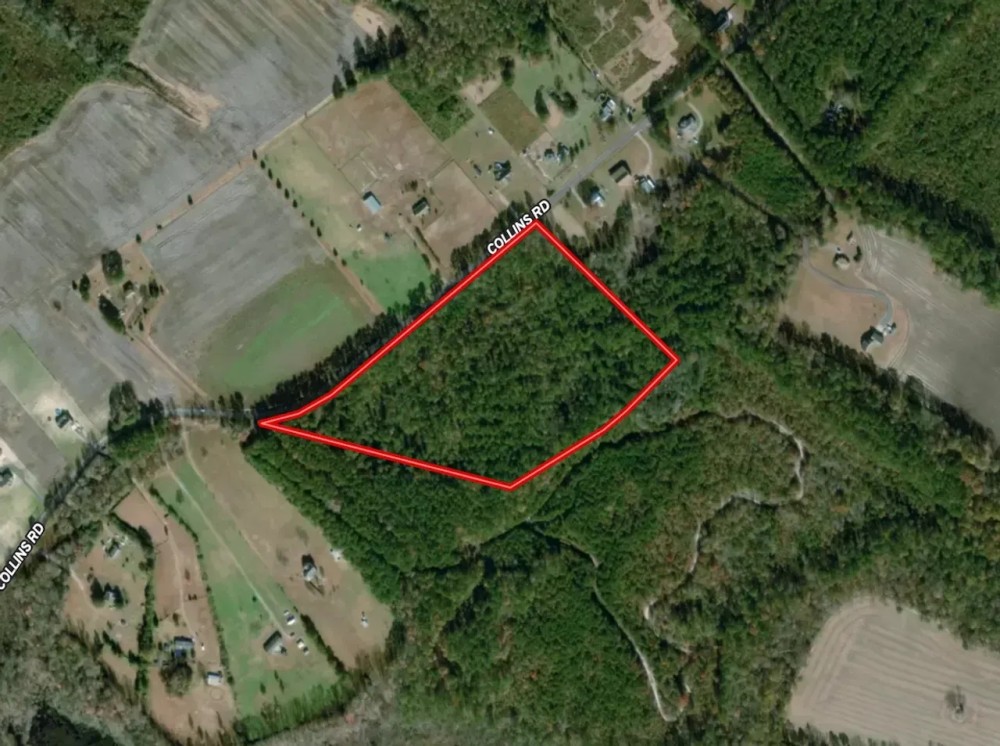 18.5 acres of Timber Land For Sale in Suffolk County VA featured image
