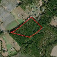 18.5 acres of Timber Land For Sale in Suffolk County VA
