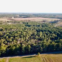 18.5 acres of Timber Land For Sale in Suffolk County VA images 2