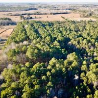 18.5 acres of Timber Land For Sale in Suffolk County VA images 4