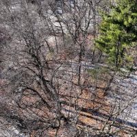 3 Bedroom Home with 20 - Acres in Monroe County WI images 5