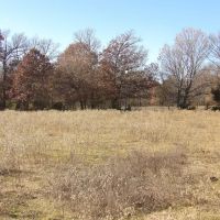 RECREATIONAL HUNTING AND ATV RIDING CHOCTAW CO.EAST