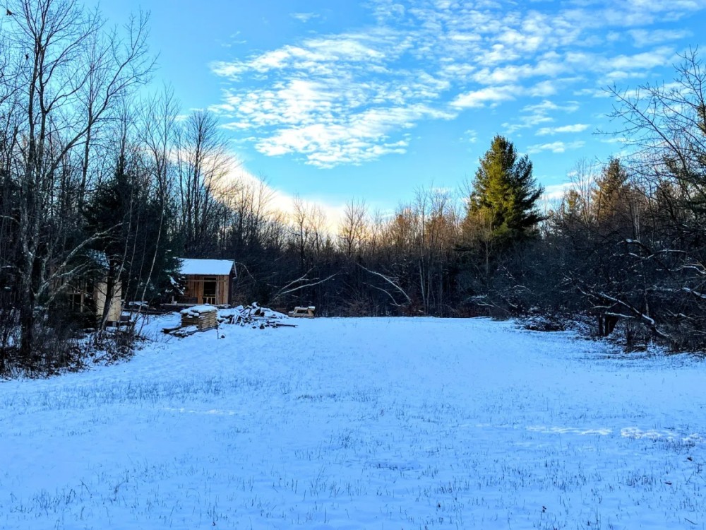12 acres Hunting Land with Small Cabin Russell NY featured image