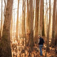 755 Acres in Leflore County MS images 5