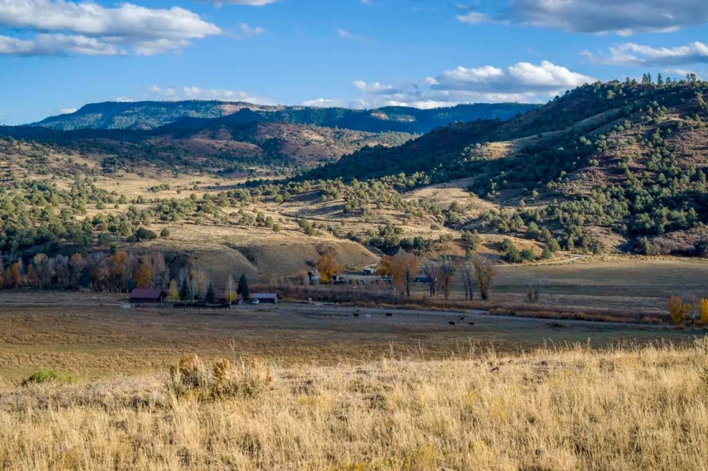 Diamond M Bar Ranch featured image