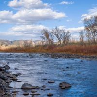 Diamond M Bar Ranch images 3