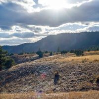 Diamond M Bar Ranch images 4