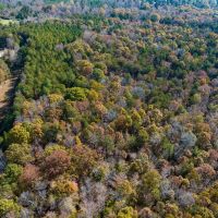 34.55 acre Homesite and Recreational Land For Sale in Orange County NC images 5