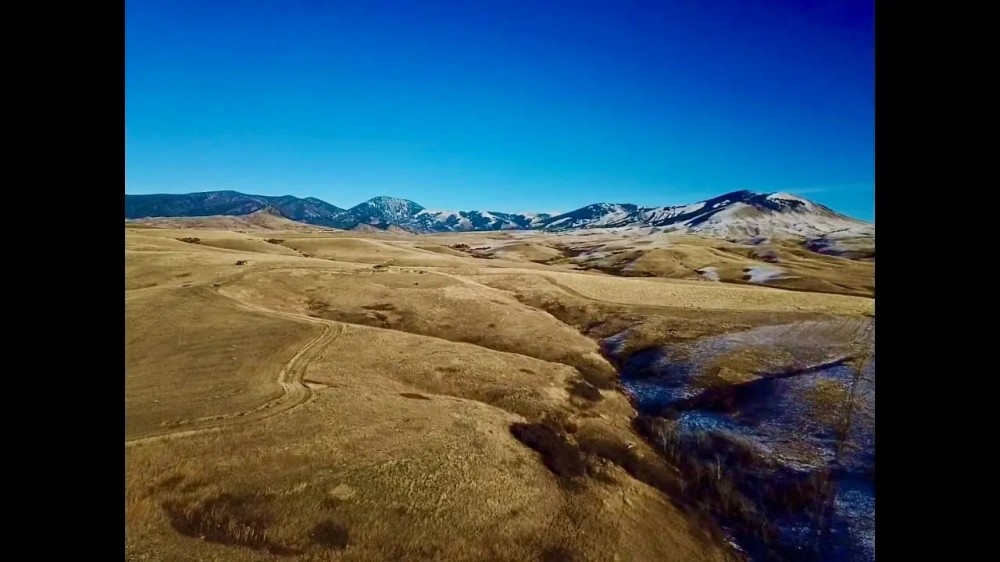 Cora Creek Farm and Furs featured image