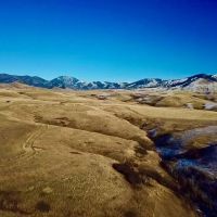 Cora Creek Farm and Furs