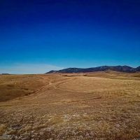 Cora Creek Farm and Furs images 2
