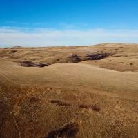 Cora Creek Farm and Furs images 3