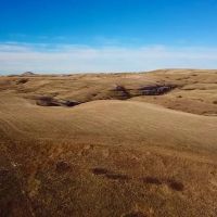 Cora Creek Farm and Furs images 4