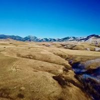 Cora Creek Farm and Furs images 5