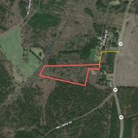 12.59 acres of Hunting and Timber Land For Sale in Warren County NC