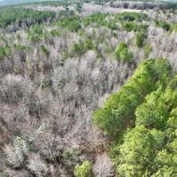 12.59 acres of Hunting and Timber Land For Sale in Warren County NC images 4