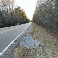 18 Acres of Timberland for sale in Jasper County images 2