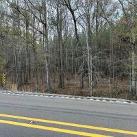 18 Acres of Timberland for sale in Jasper County images 3