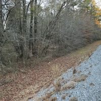 18 Acres of Timberland for sale in Jasper County images 4