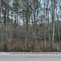 18 Acres of Timberland for sale in Jasper County images 5