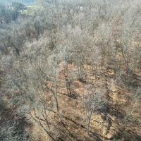 Tenan St. Washington County - 25 - acres images 4