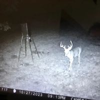Hunting Delight w 35 Acs Home 100 Mineral Rights images 5