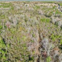 Recreational Hunting Land For Sale in South Amite County MS