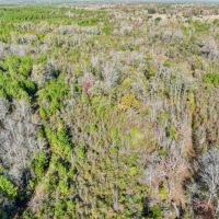 Recreational Hunting Land For Sale in South Amite County MS images 3