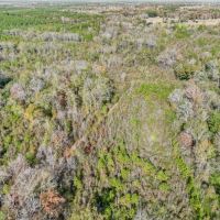 Recreational Hunting Land For Sale in South Amite County MS images 4
