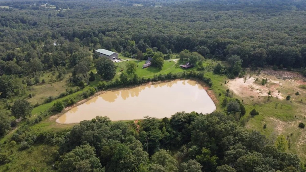 100 - acres adjoining National Forest with live water for sale in Butler County MO featured image