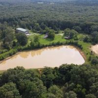 100 - acres adjoining National Forest with live water for sale in Butler County MO
