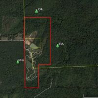 100 - acres adjoining National Forest with live water for sale in Butler County MO images 2