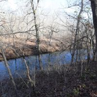 100 - acres adjoining National Forest with live water for sale in Butler County MO images 4