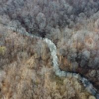 100 - acres adjoining National Forest with live water for sale in Butler County MO images 5