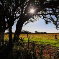 Titopa Farm images 2