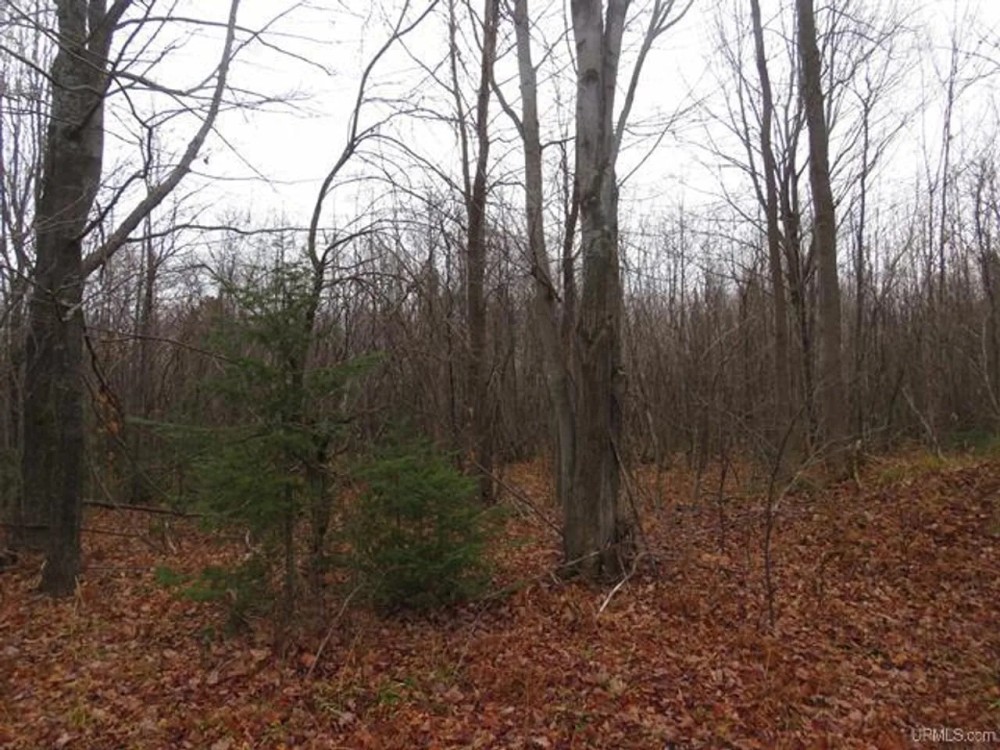 Country Lot w Pond 50130159 featured image