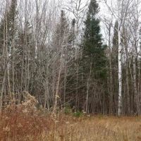 Country Lot w Pond 50130159 images 4