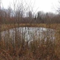 Country Lot w Pond 50130159 images 5